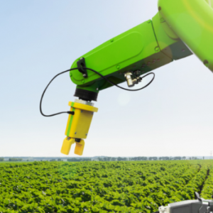 Agriculture & Food