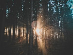Innovation & Entrepreneurship
