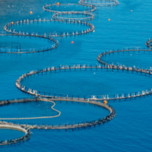 Aquatic Systems